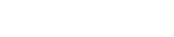Development portal